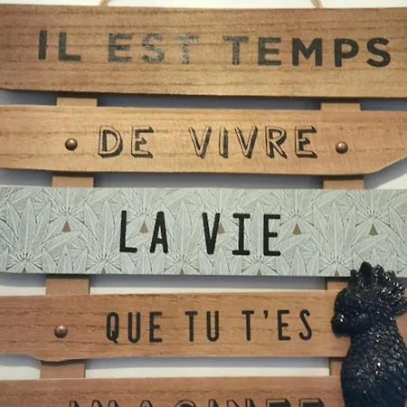 Spacieux Avec Climatisation Dans La Campagne Bourbonnaise - Fr-1-489-339 펜션